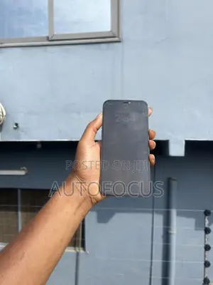 Apple iPhone 12 Pro Max 256 GB Blue