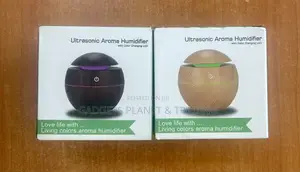 Unique Mushroom-Shaped Usb Plug-in Aroma Diffuser and Humidifier