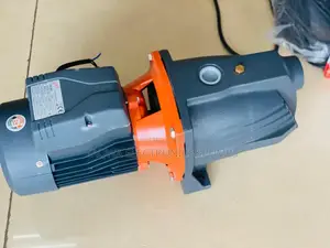 Order Leo 2hp Cast Water Pump (Ajm150l)