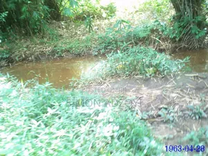 3 Kilometers Square of Gold Mining Concession for Sale