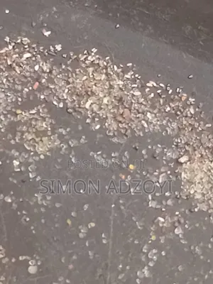 3 Kilometers Square of Gold Mining Concession for Sale