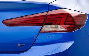 Tail Lamp Outside Halogen Light Assembly For 2019-2020 Hyundai Elantra