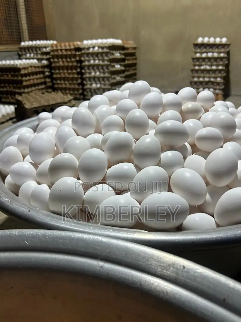 Victory Hill Farm Fresh Eggs We Can Deliver to Accra,Aburi , Nsawam