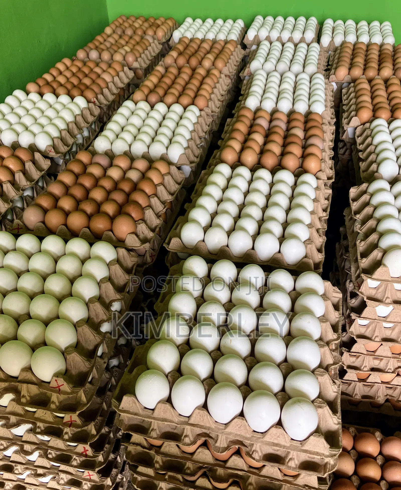 Victory Hill Farm Fresh Eggs We Can Deliver to Accra,Aburi , Nsawam