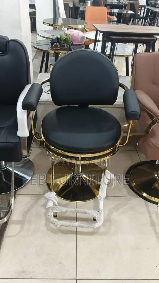Executive Salon Chairs