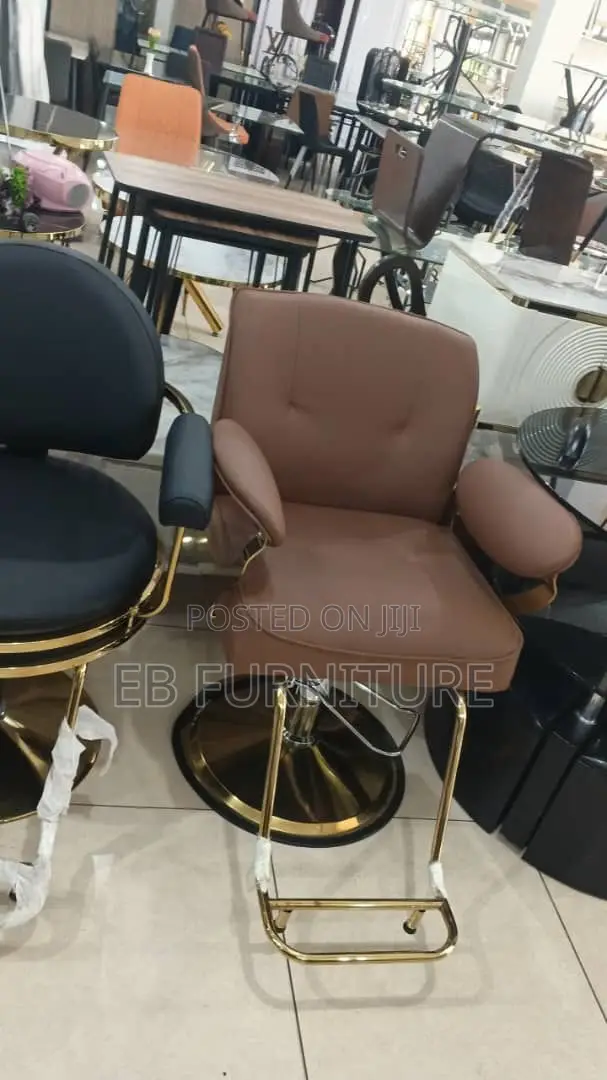 Executive Salon Chairs