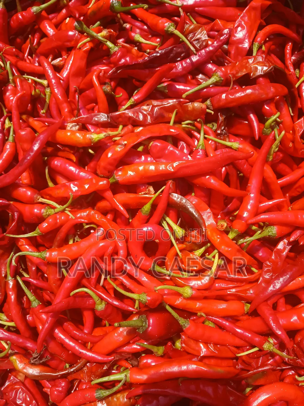 Feedright Farms Dried Pepper
