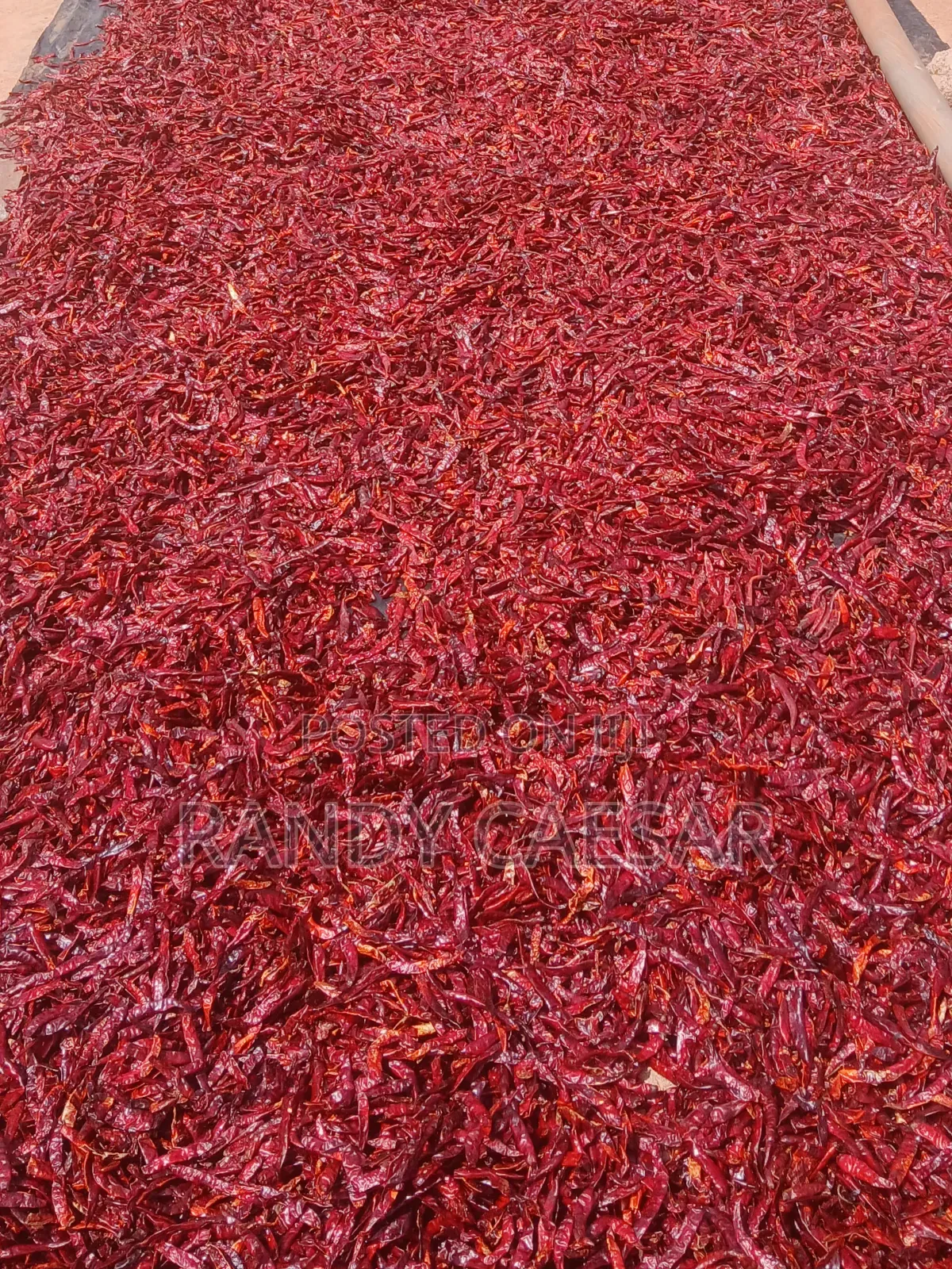 Feedright Farms Dried Pepper