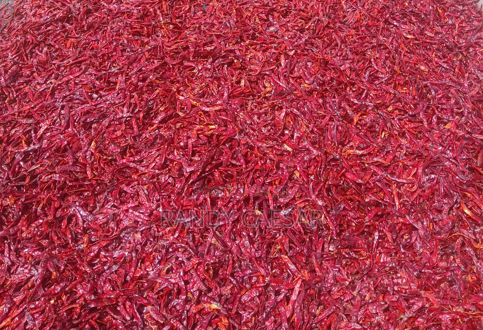 Feedright Farms Dried Pepper