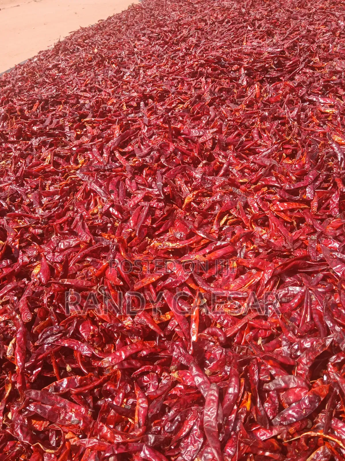 Feedright Farms Dried Pepper