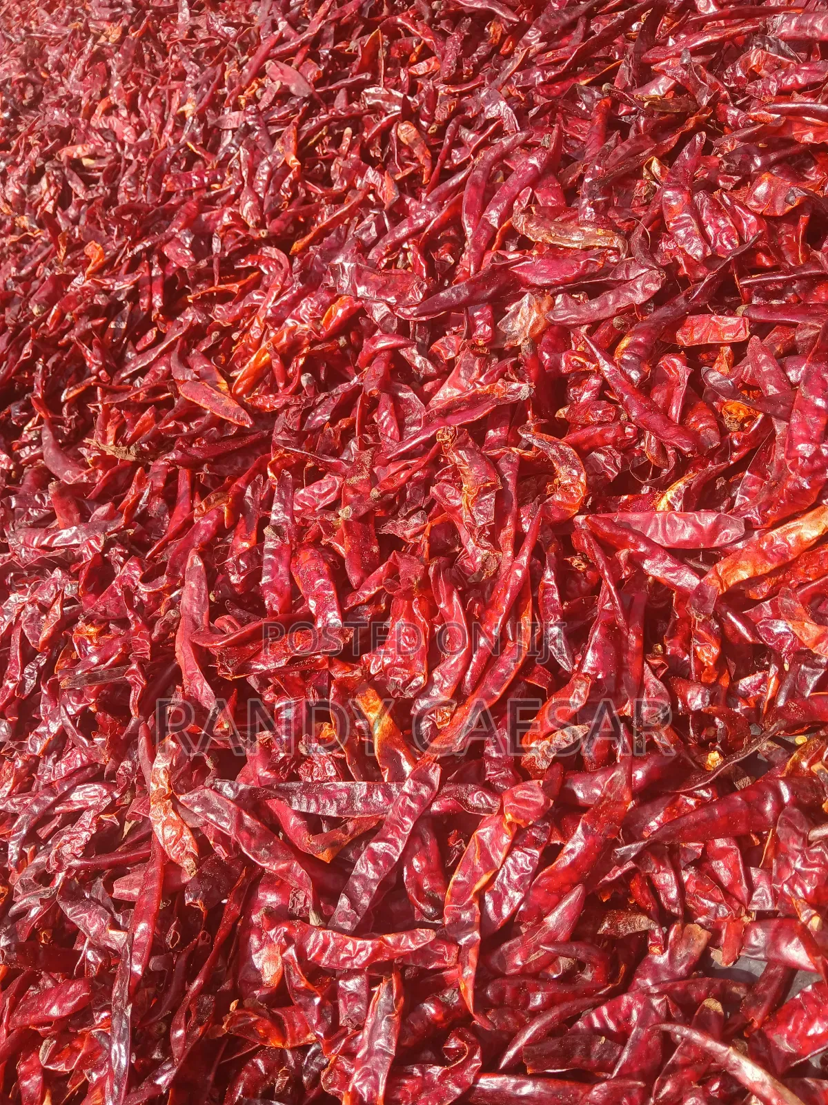 Feedright Farms Dried Pepper