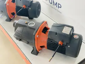Eloquent Leo 3hp Cast Water Pump
