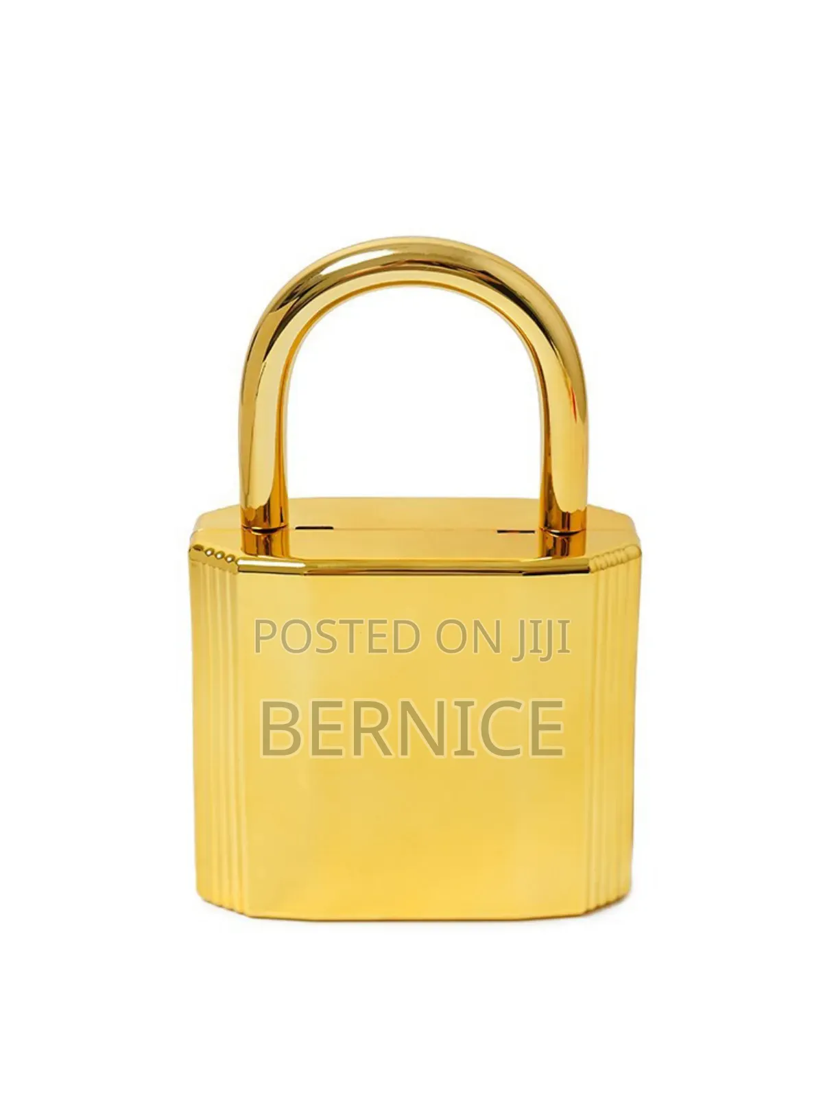 Luxury Gold and Silver Padlock Clutch – Unique Designer Style