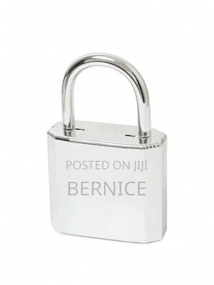 Luxury Gold and Silver Padlock Clutch – Unique Designer Style