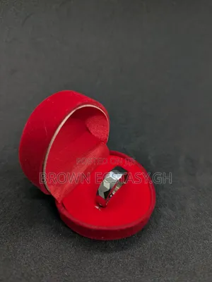 Ceramic Wedding Ring (Silver)