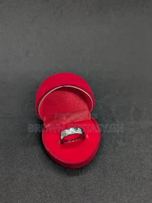 Ceramic Wedding Ring (Silver)