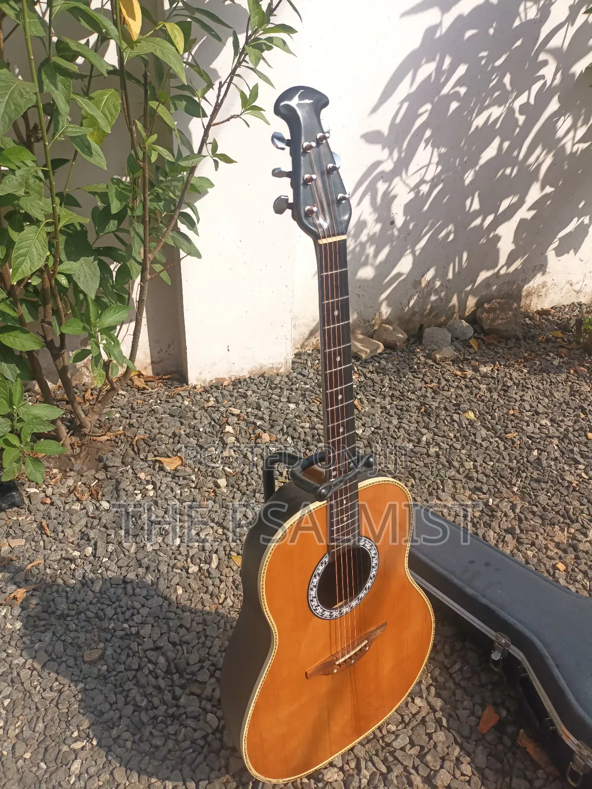 Matrix by Ovation in Solid Case With Strap New Set of Strings