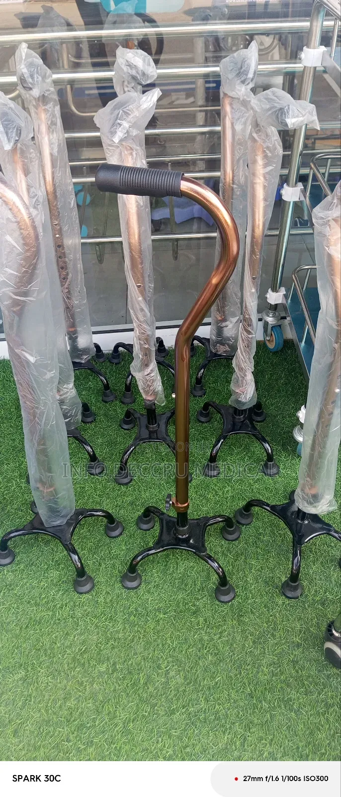 Quan Can or Four Legs Walking Stick