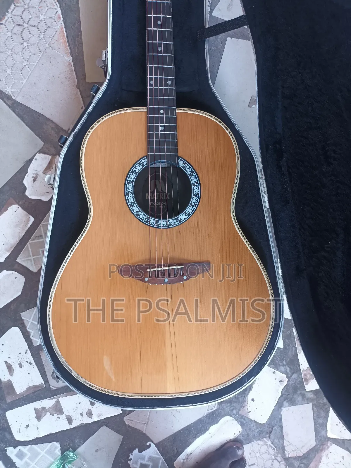 Matrix by Ovation in Solid Case With Strap New Set of Strings