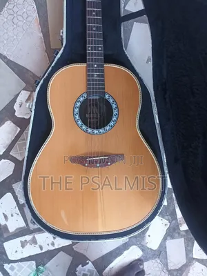 Matrix by Ovation in Solid Case With Strap New Set of Strings