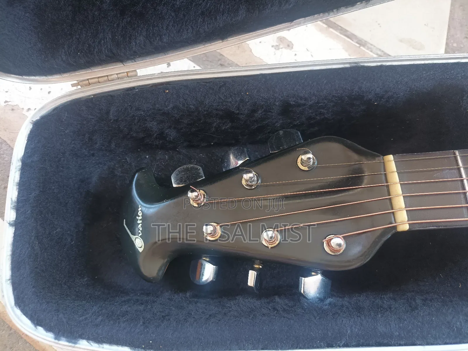 Matrix by Ovation in Solid Case With Strap New Set of Strings