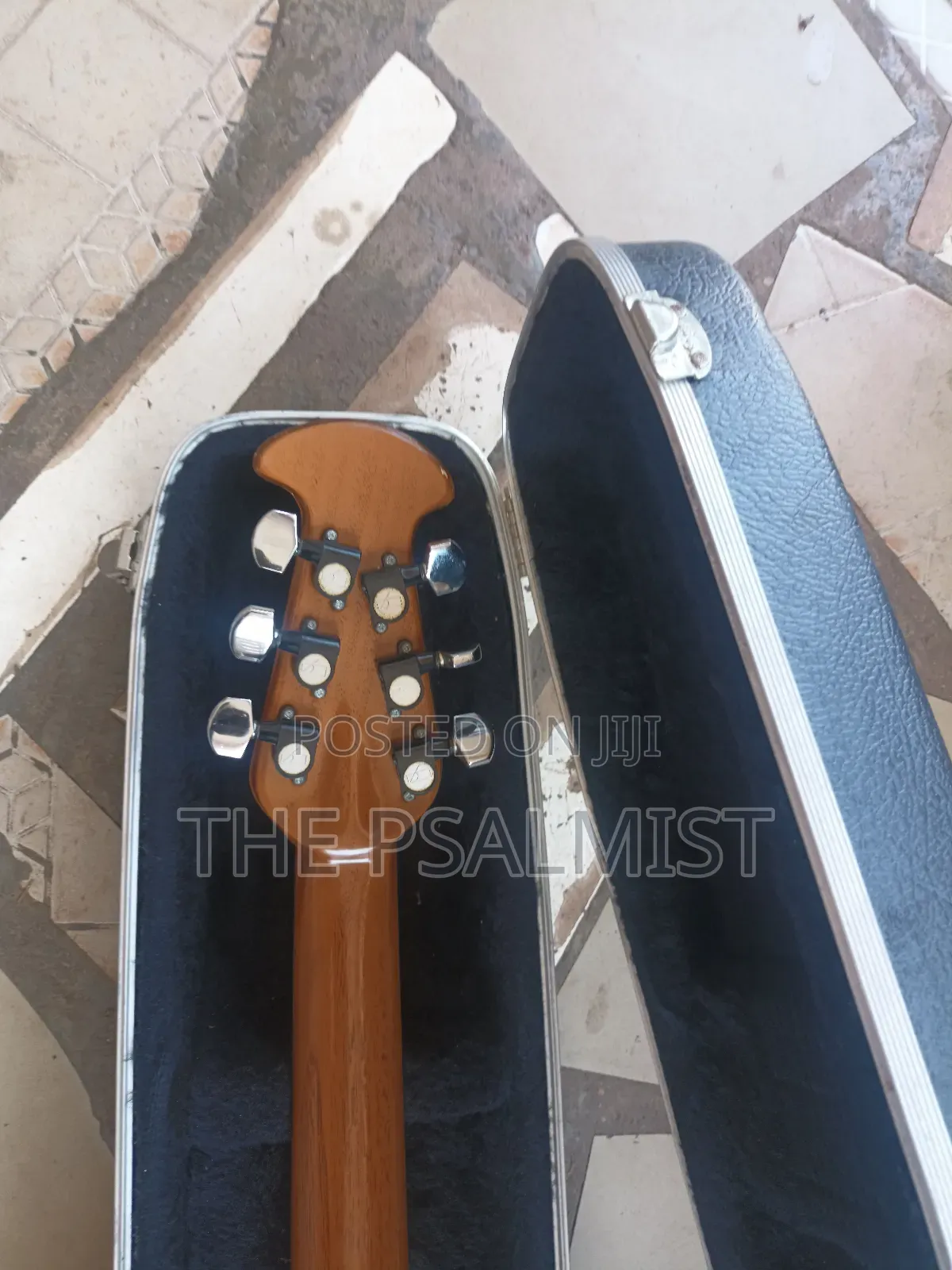 Matrix by Ovation in Solid Case With Strap New Set of Strings