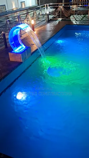 Swimming Pool Professionals