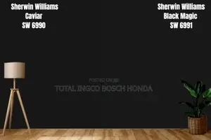 Sherwin Williams High Gloss Black Paint