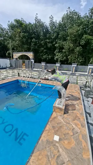 Swimming Pool Cleaning and Treatment