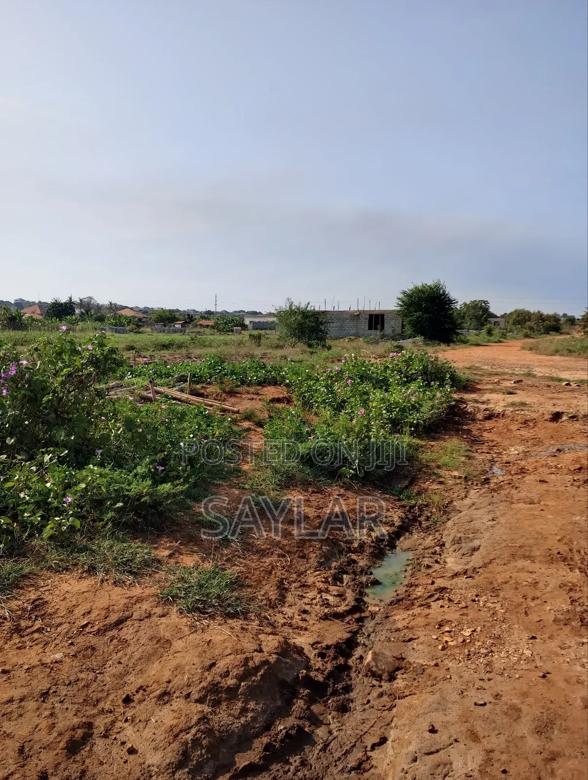 Land for Sale Afienya/Adjemador