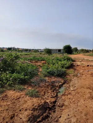 Land for Sale Afienya/Adjemador