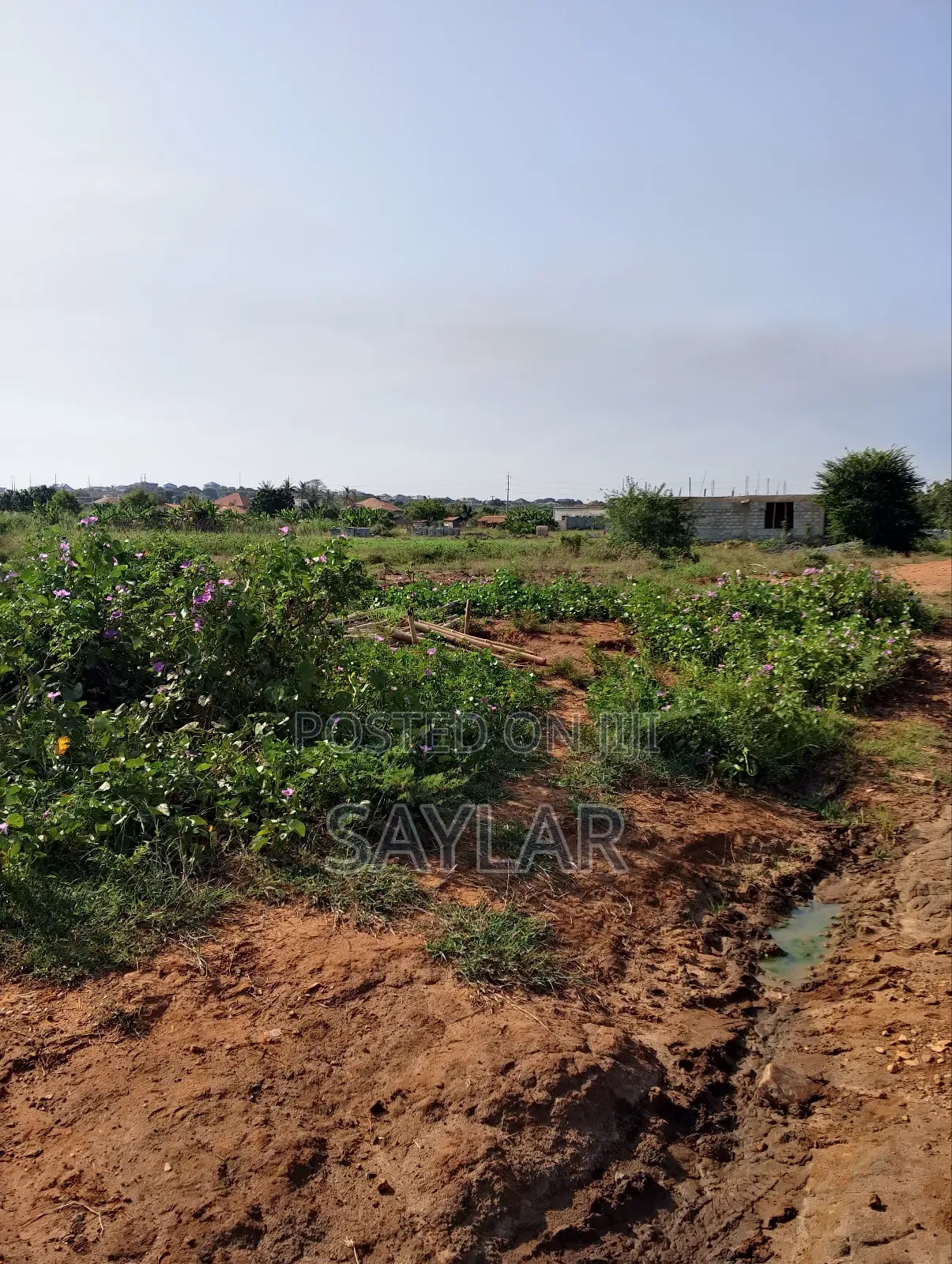 Land for Sale Afienya/Adjemador