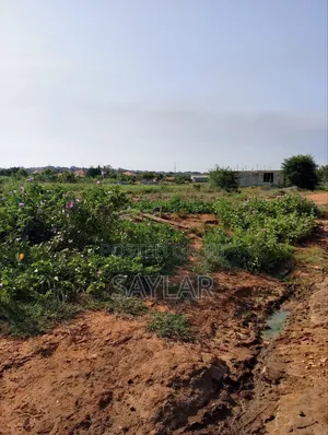 Land for Sale Afienya/Adjemador