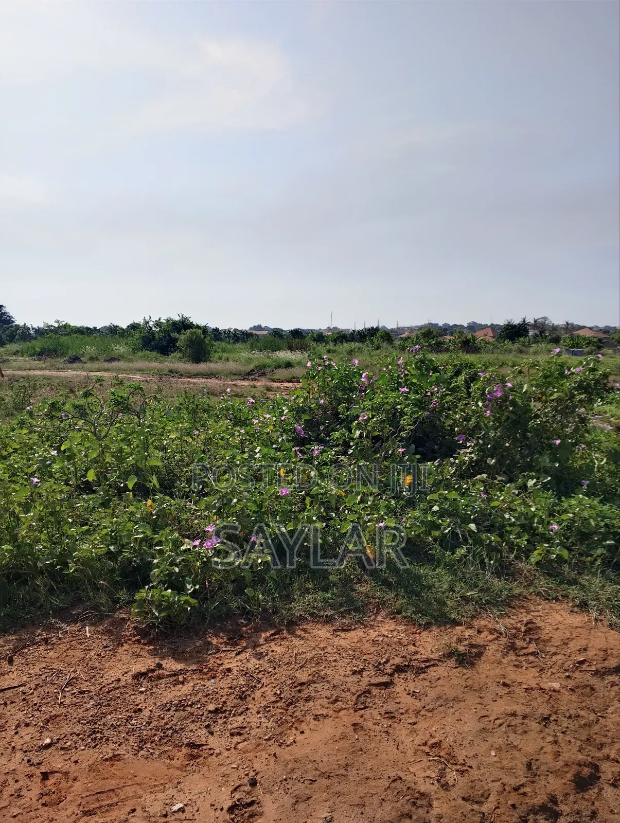 Land for Sale Afienya/Adjemador