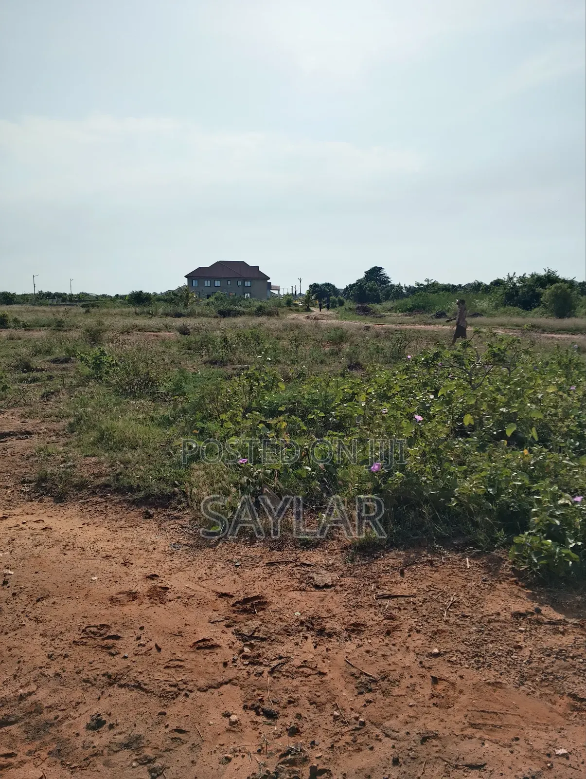 Land for Sale Afienya/Adjemador