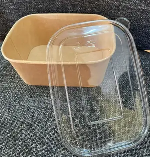 Disposable Paper Bowl