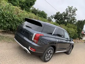 Hyundai Palisade 2020