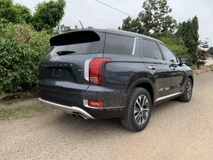 Hyundai Palisade 2020