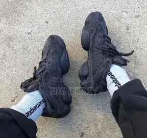Yeezy Boost 500 Black /Ash