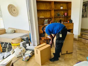Apartment Moving Services