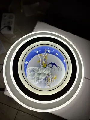 Ceiling Light