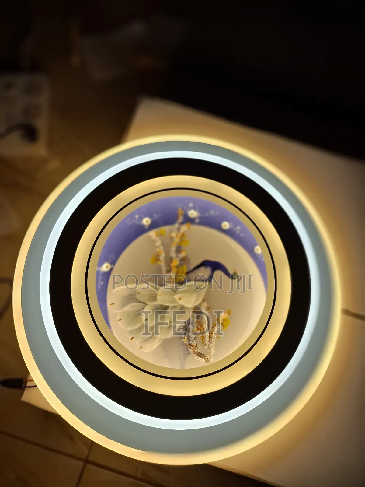 Ceiling Light