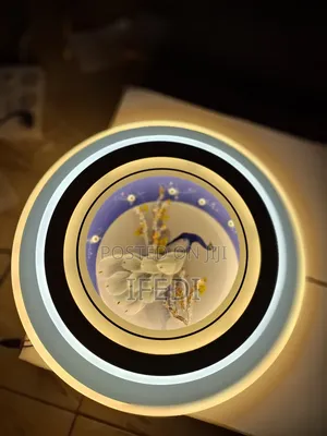 Ceiling Light