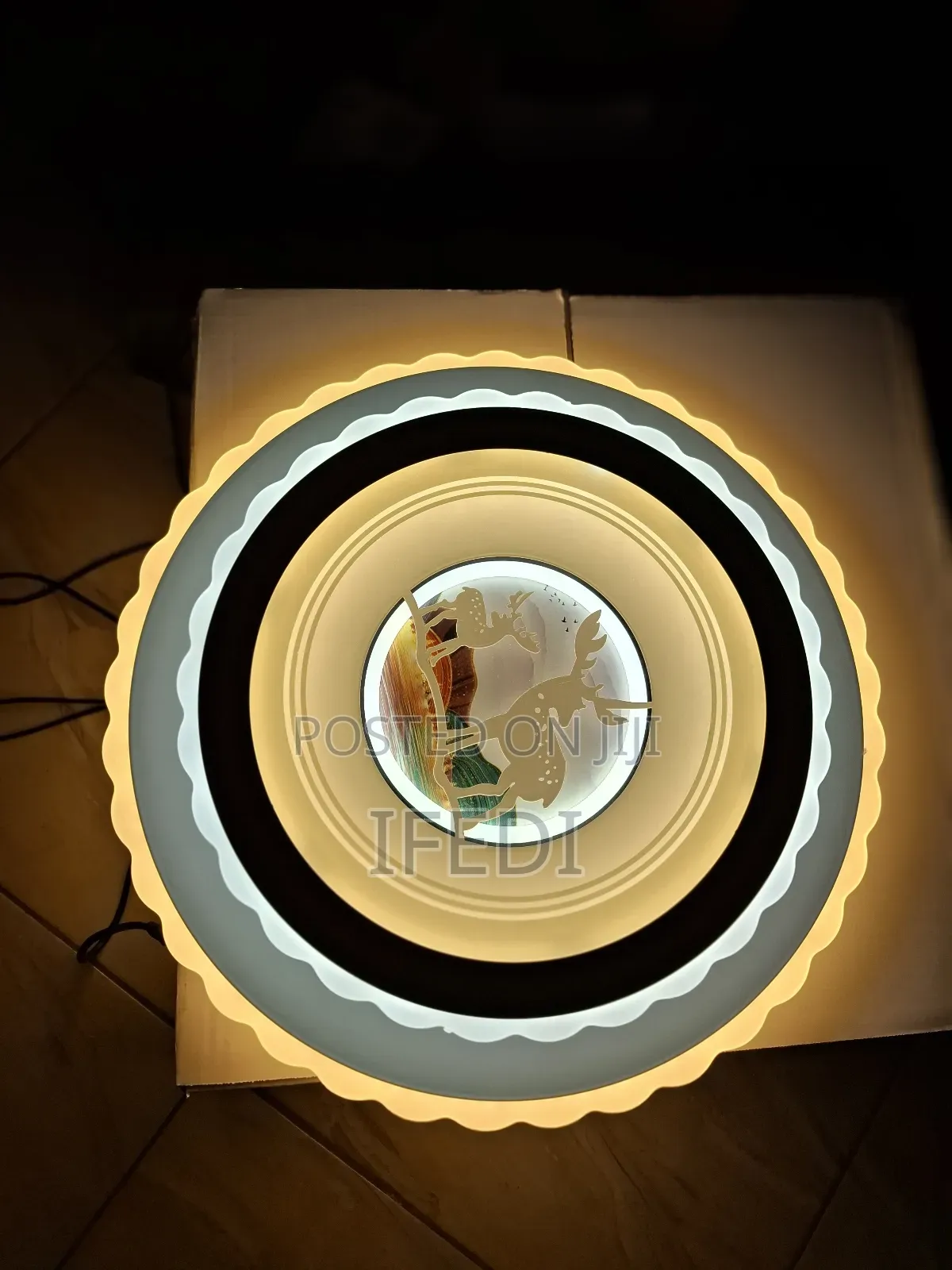 Ceiling Light