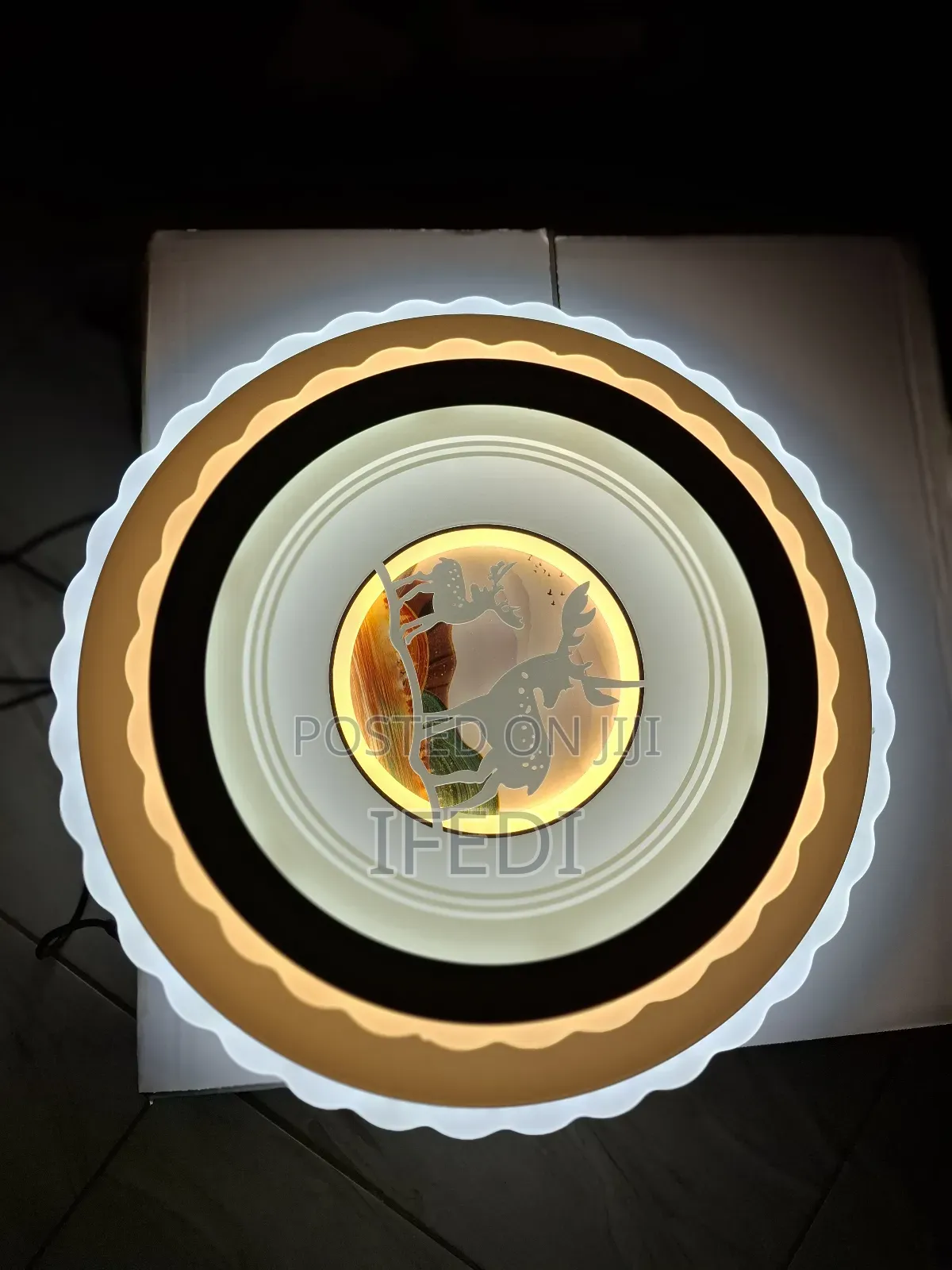 Ceiling Light