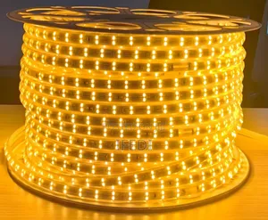 Warm Strip Light or Rope Light