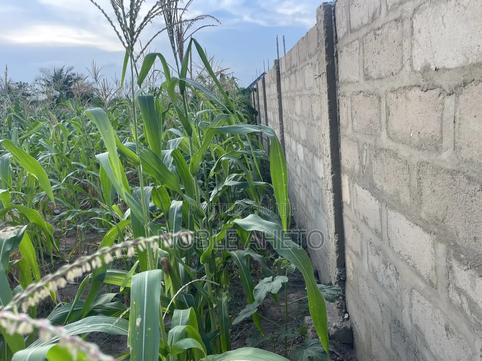 Hot Deal in Sogakope