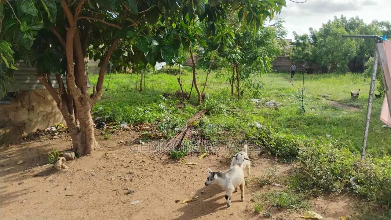 Land for Sale