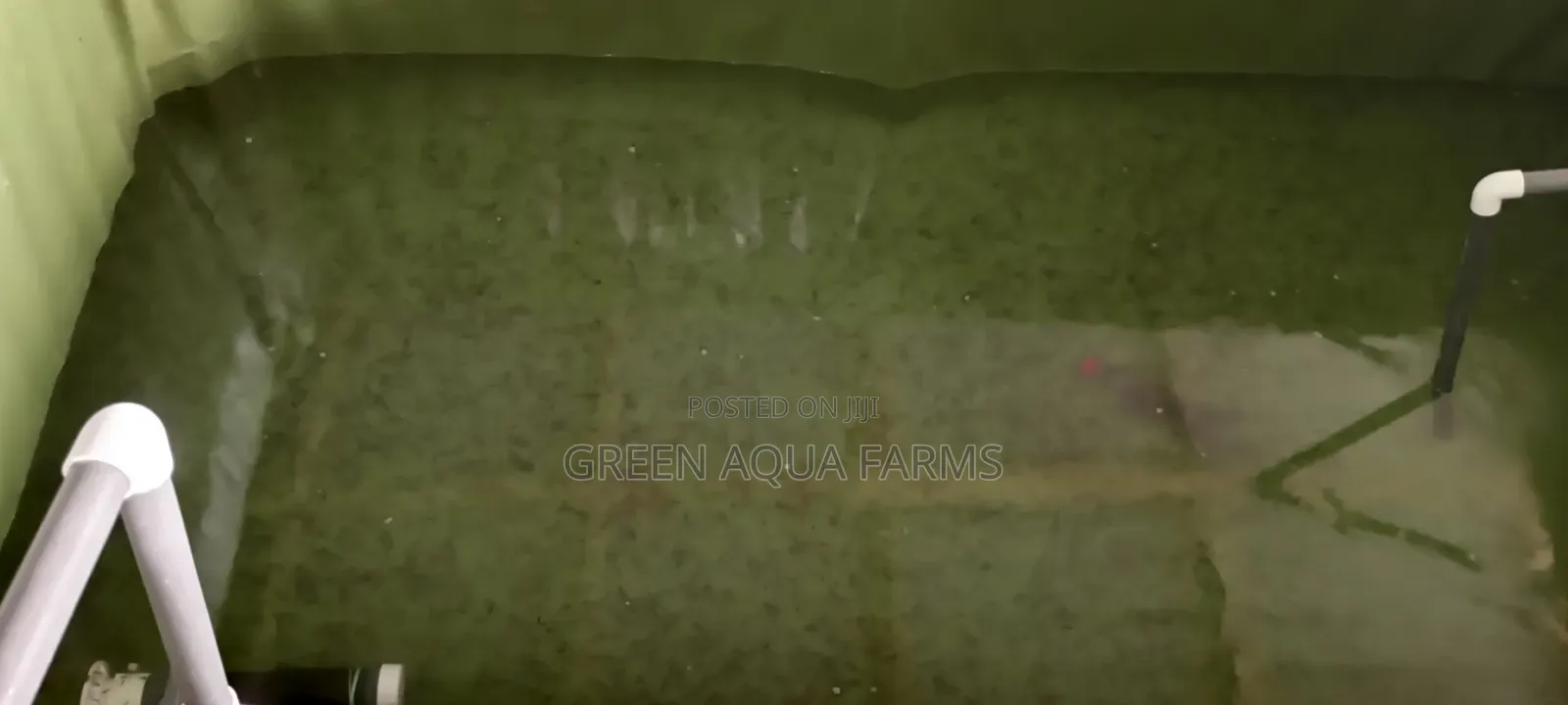 Catfish Hatchery Contract
