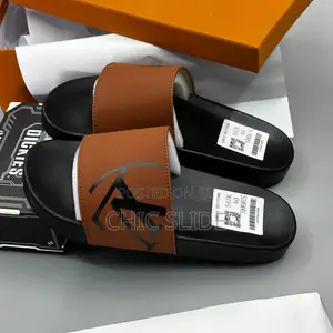 New Lv Slides